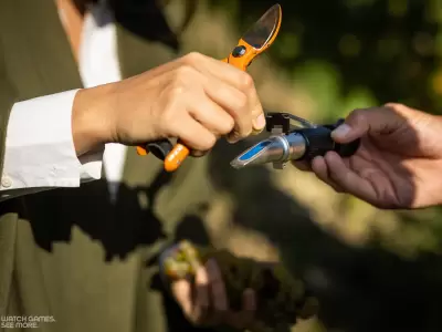 Edukáció Edukáció