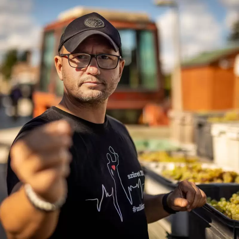 Mór Borászat - miklóscsabi